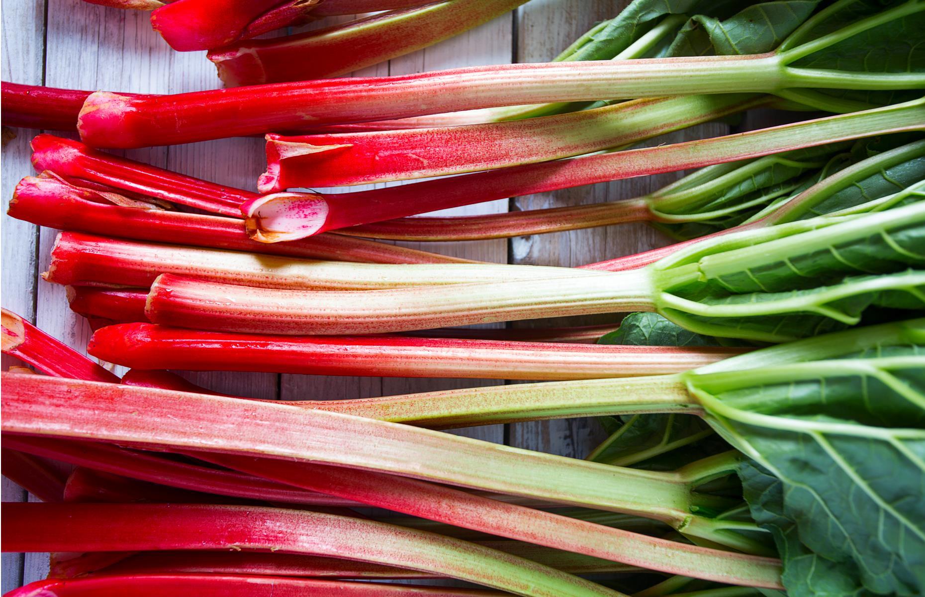 Rhubarb leaves